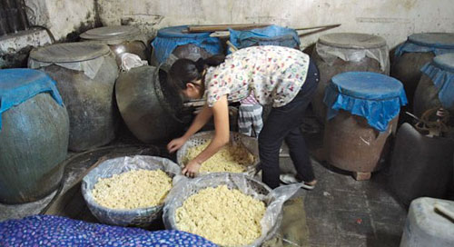 Trộn men và ủ lên men Trộn men và ủ lên men