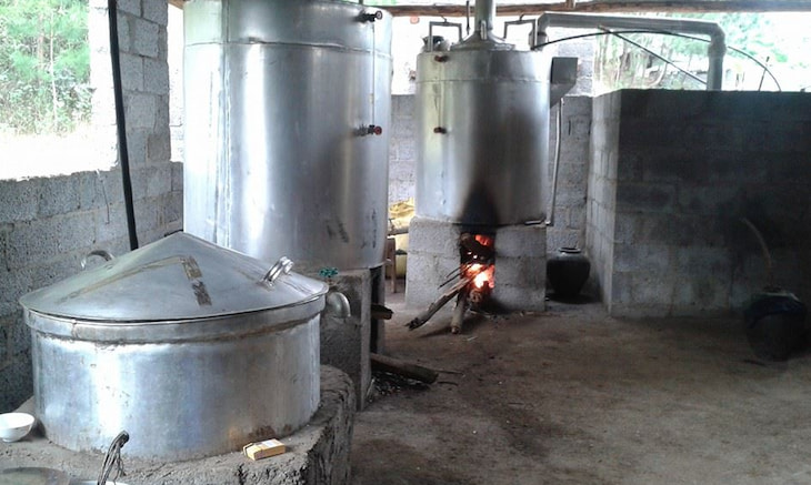 Lọc và xử lý độc tố trong rượu Lọc và xử lý độc tố trong rượu