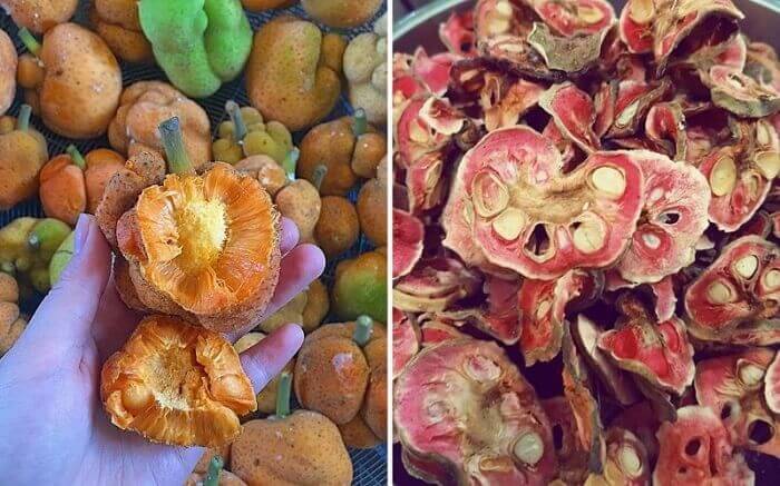 Vài nét về quả chay Vài nét về quả chay
