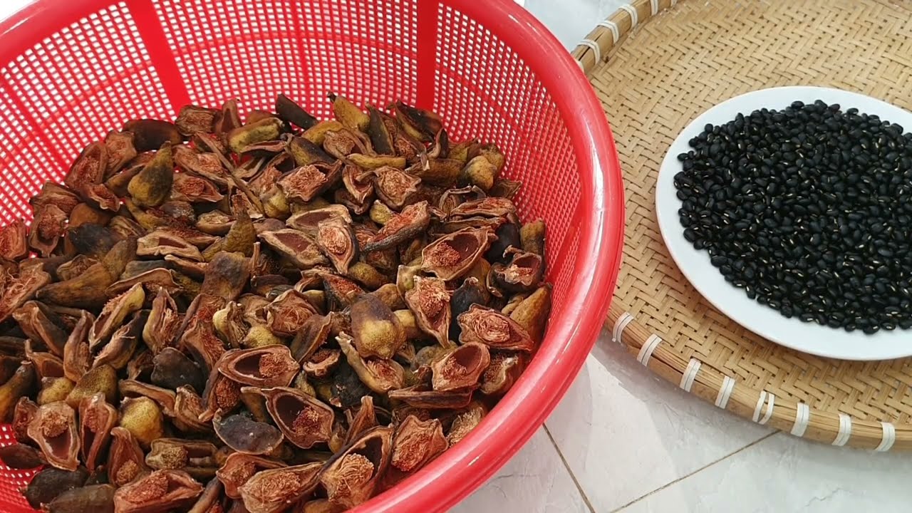 Các bài thuốc từ quả trâu cổ Các bài thuốc từ quả trâu cổ